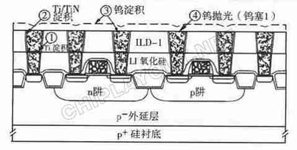 Via1, Plug1 及 Metal1 互连的形成 - 图2