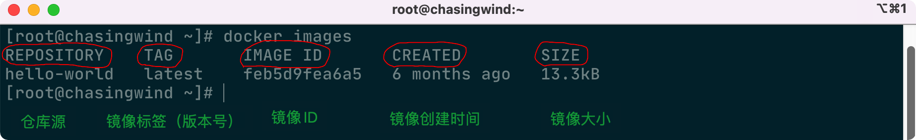 Docker常用命令 - 图4