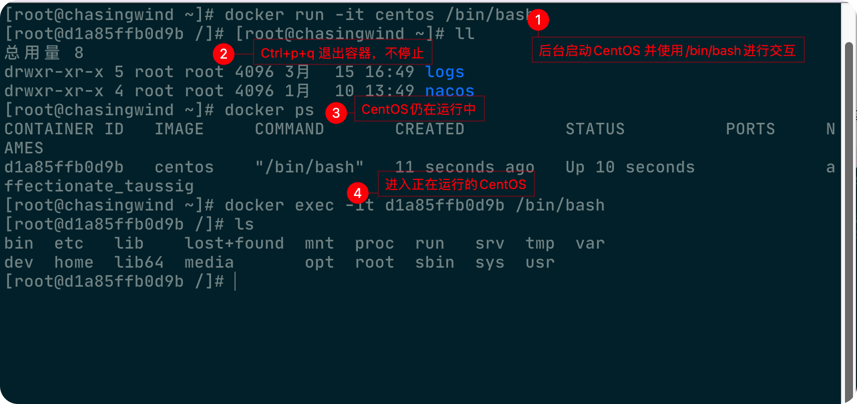 Docker常用命令 - 图23