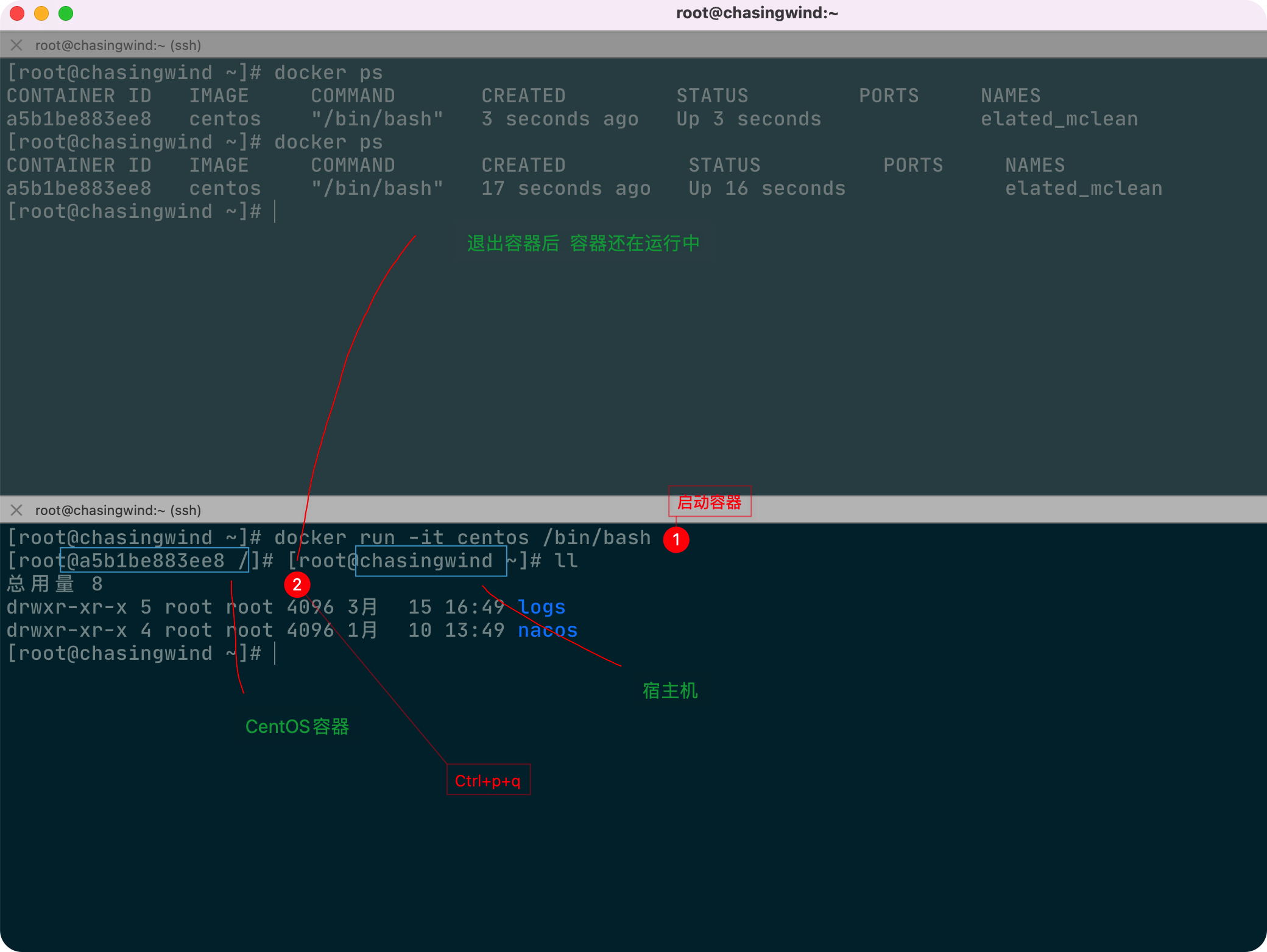 Docker常用命令 - 图16