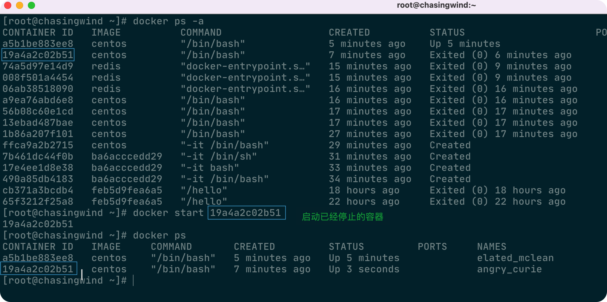 Docker常用命令 - 图17