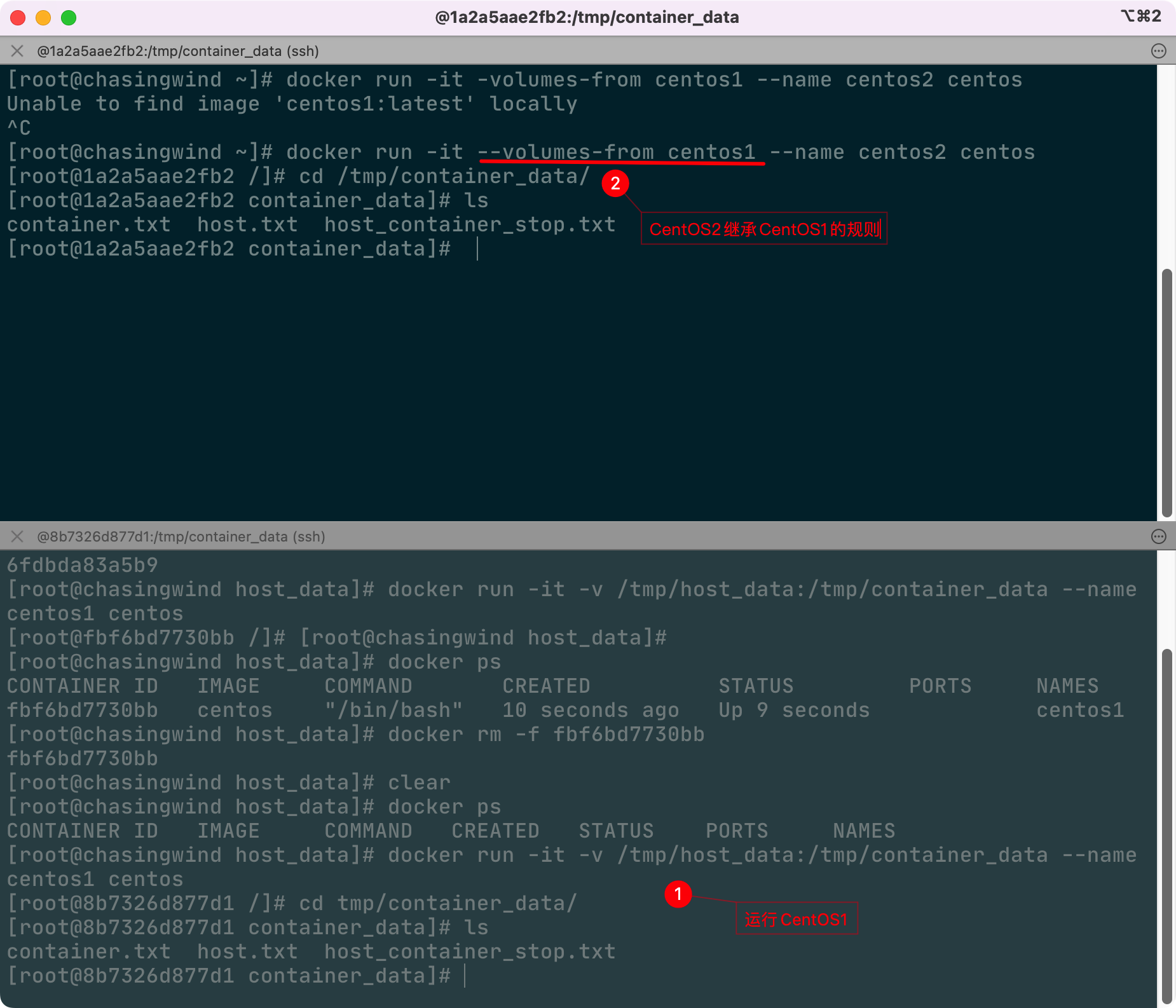 Docker容器数据卷 - 图7