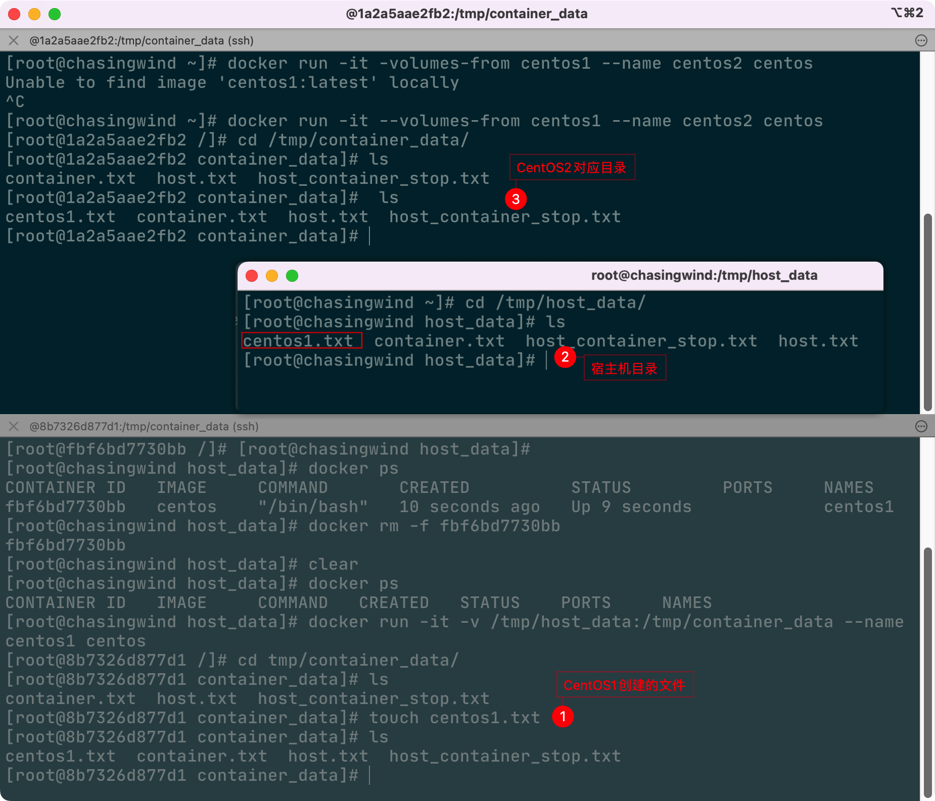 Docker容器数据卷 - 图8