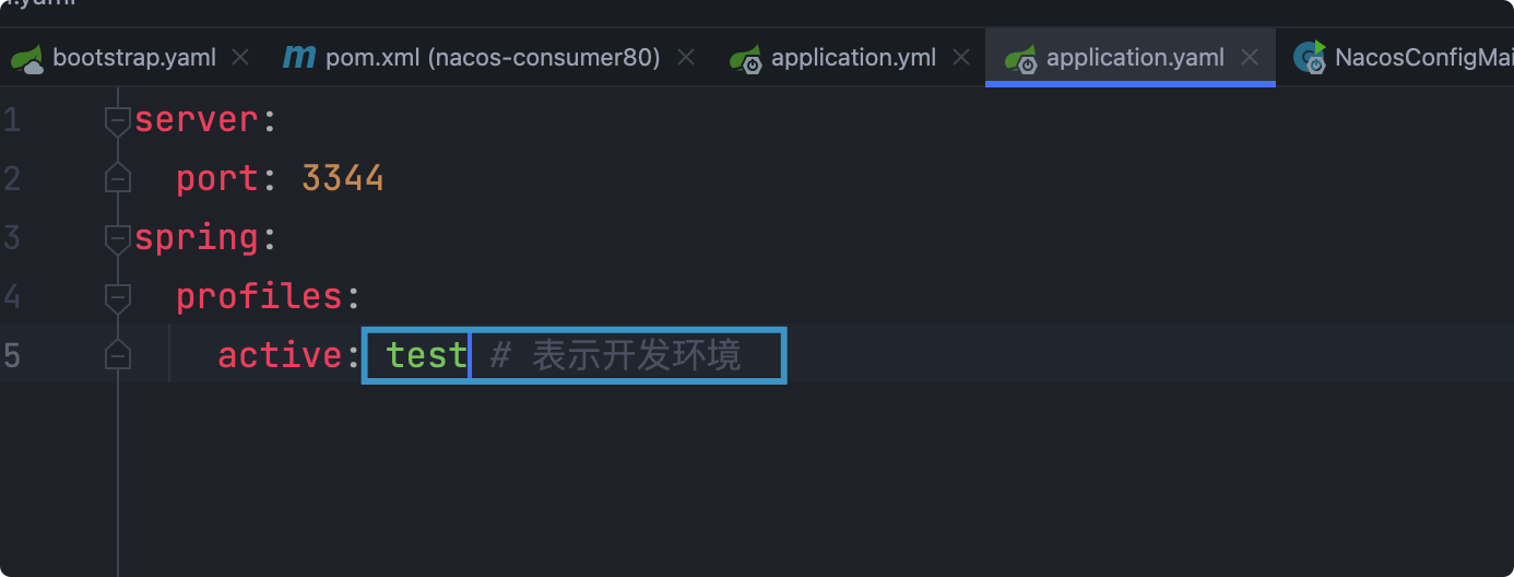 Nacos服务注册和配置中心 - 图38