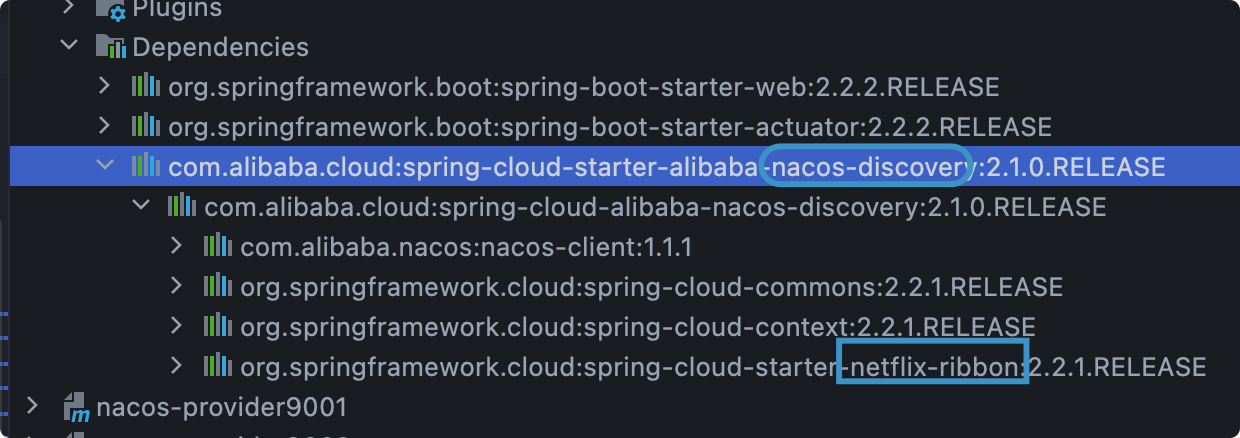 Nacos服务注册和配置中心 - 图21