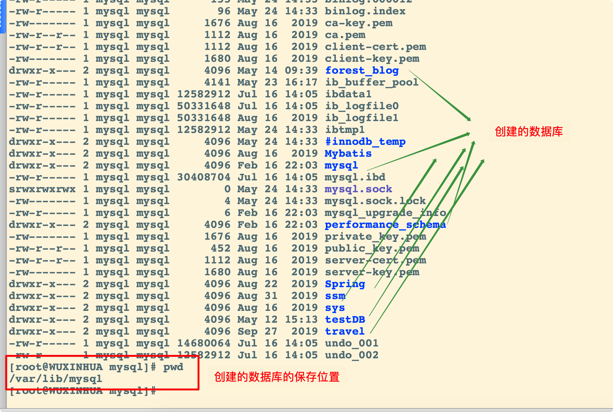 MySQL架构介绍 - 图2