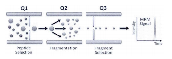 MRM/SRM, PRM and SWATH/DIA - 图1