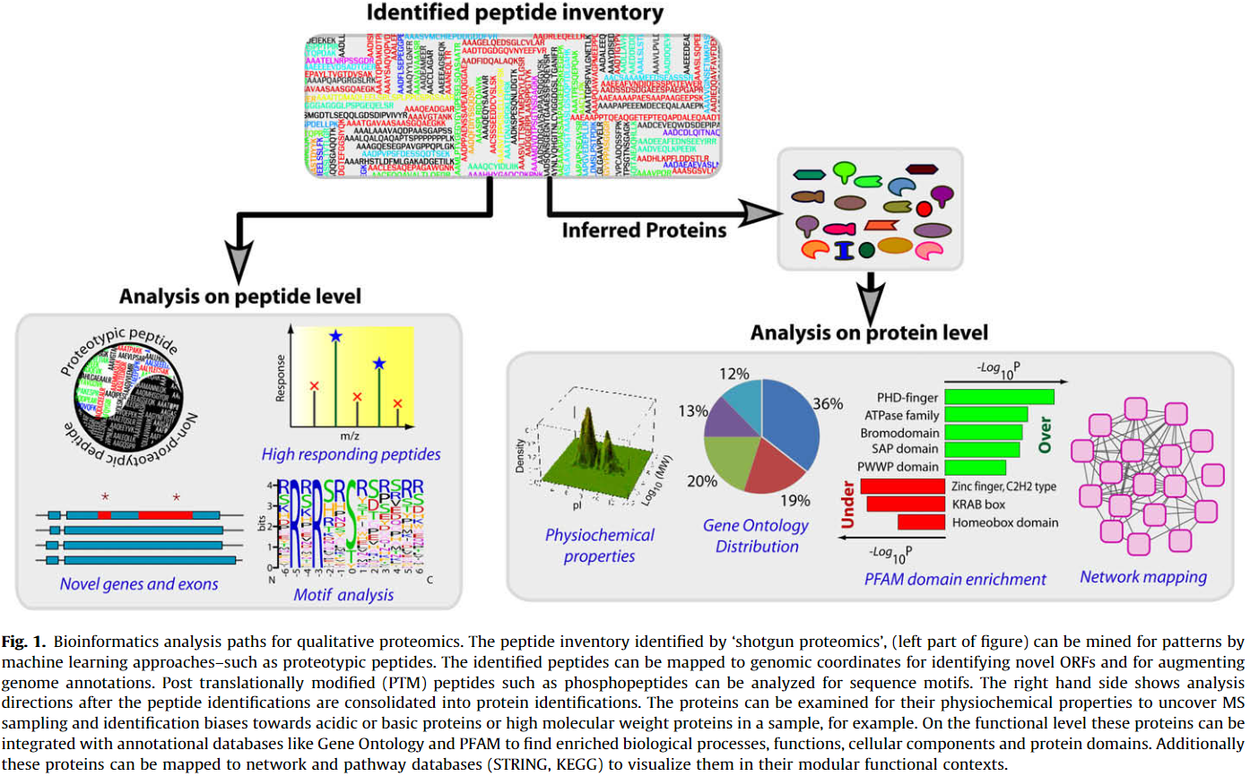 Proteomics %26 peptidomics - 图1