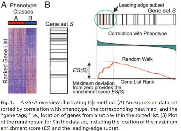 GSEA - 图3