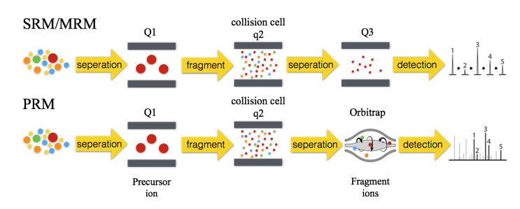 MRM/SRM, PRM and SWATH/DIA - 图2