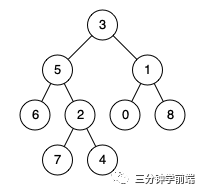 适合初学者的树 - 图19