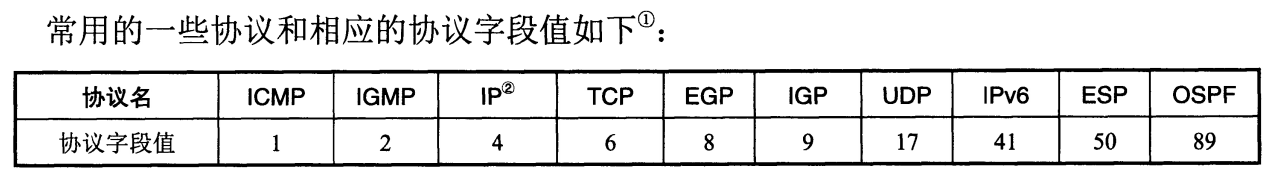IP数据报协议字段.png