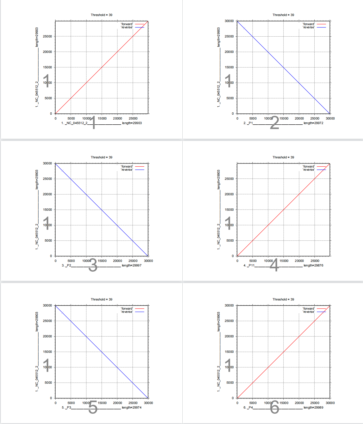ML phylogenetic tree - 图1