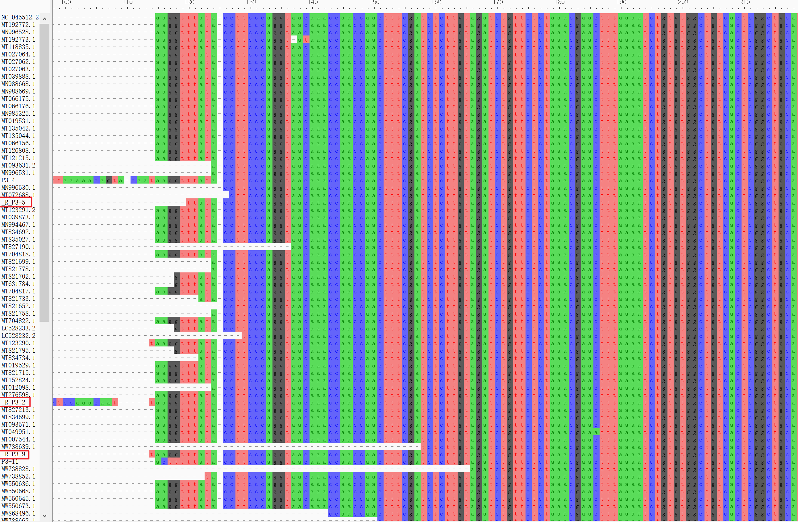 Viral Sequencing Reads Analysis_pipeline - 图9