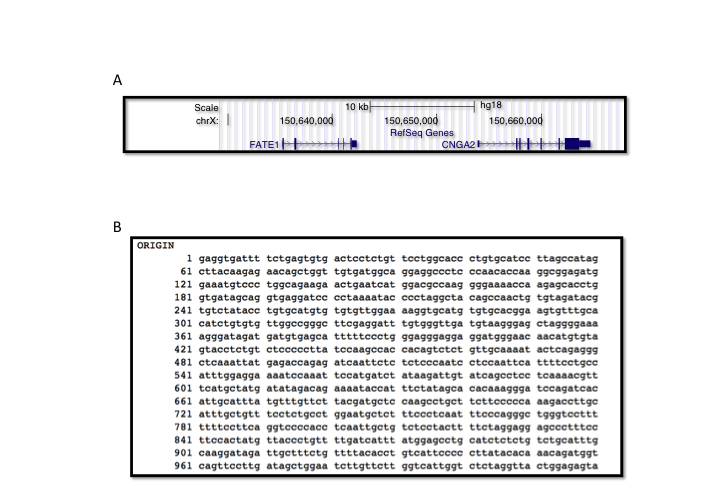 1.1 基因 DNA 和中心法则 - 图4