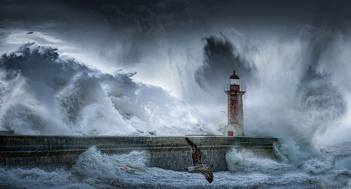 风起云涌！Crosspoly开启大海航时代 - 图1