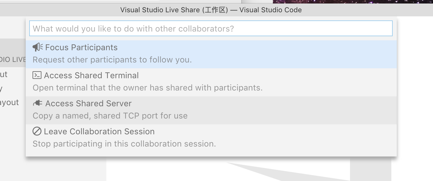 (13) VS Live Share (可提高效率的代码实时协作插件)的使用姿势 - 图14