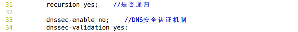 主DNS及DNS缓存服务配置 - 图21