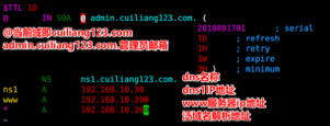 DNS服务配置 - 图9