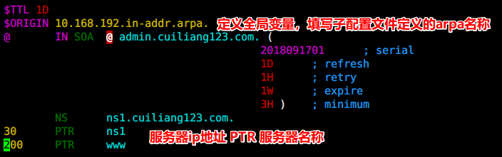 DNS服务配置 - 图16