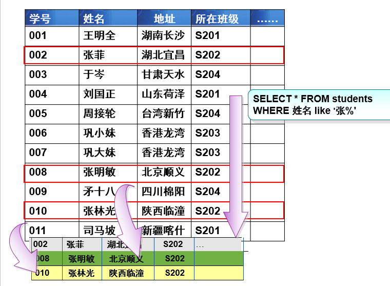 image-20201222224519644.png