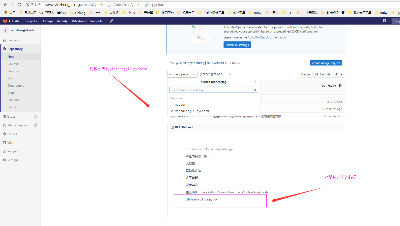 gitlab连接pycharm - 图20