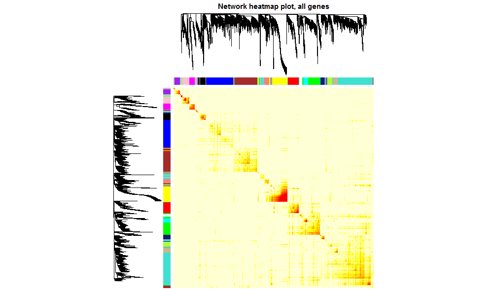 WGCNA的总结 - 图3