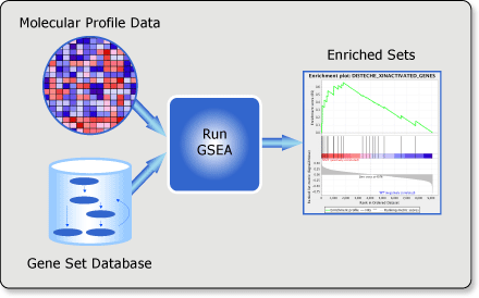 GSEA-基因富集分析 - 图1
