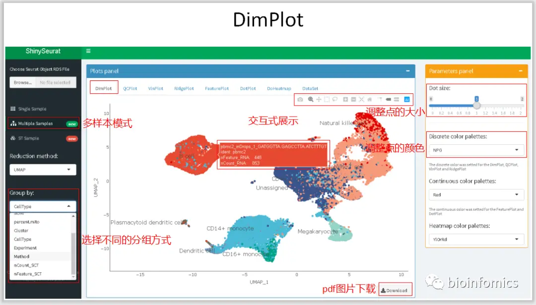使用Shiny搭建基于Seurat包的单细胞数据可视化平台 - 图11