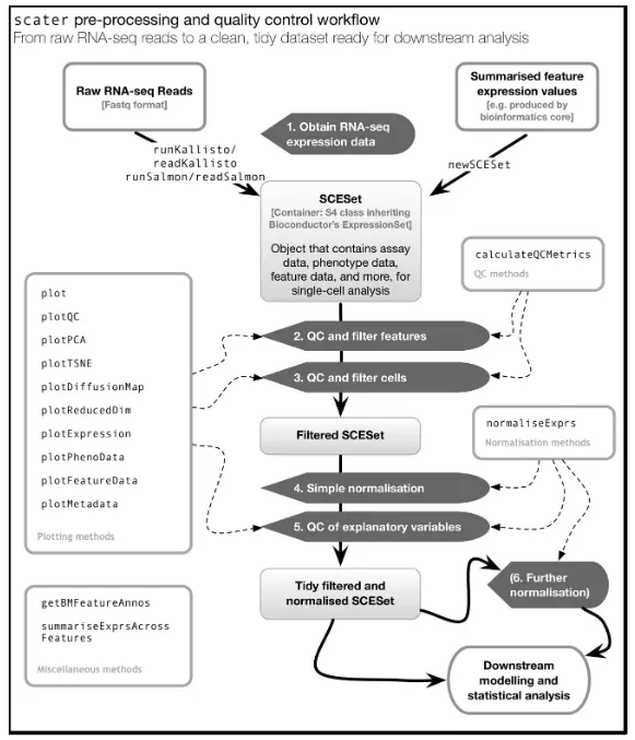 使用scater包进行单细胞测序分析（一）：数据导入与SingleCellExperiment对象构建 - 图1