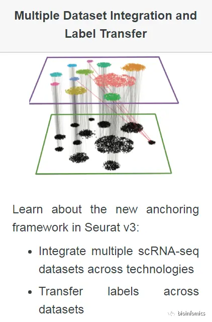 Seurat包学习笔记（二）：Integration and Label Transfer - 图1