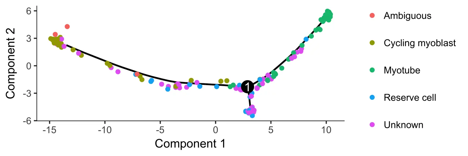 Monocle2包学习笔记（三）：Constructing Single Cell Trajectories - 图13