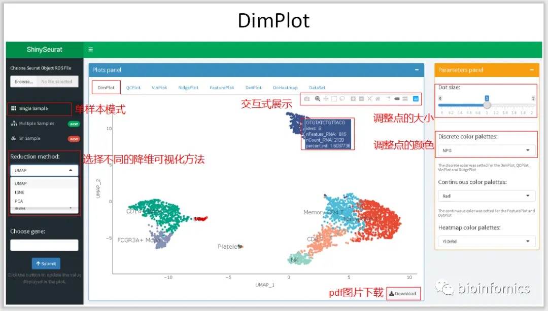 使用Shiny搭建基于Seurat包的单细胞数据可视化平台 - 图3
