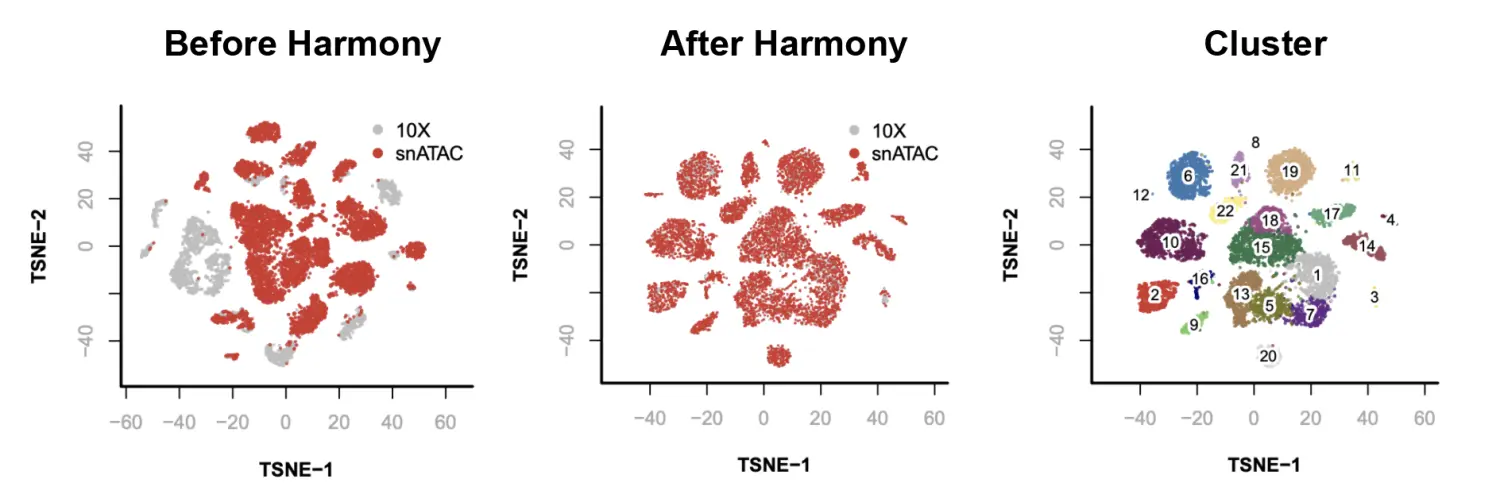 使用SnapATAC分析单细胞ATAC-seq数据（四）：Integrative Analysis of 10X and snATAC - 图1