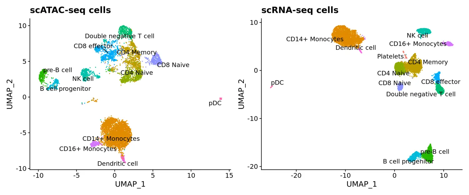 Seurat包学习笔记（六）：scATAC-seq   scRNA-seq integration - 图4