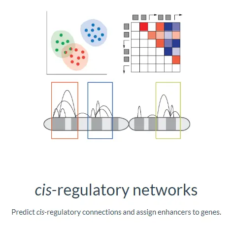 使用Cicero包进行单细胞ATAC-seq分析（二）：Constructing cis-regulatory networks - 图1