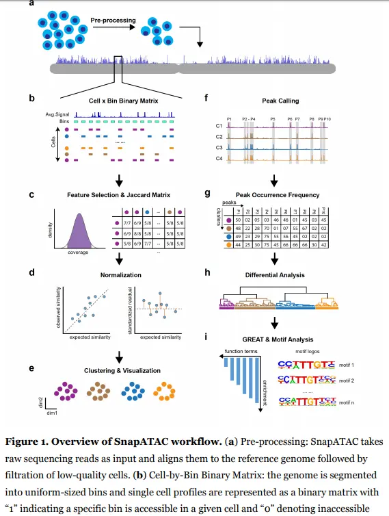 使用SnapATAC分析单细胞ATAC-seq数据（一）: SnapATAC简介与安装 - 图2