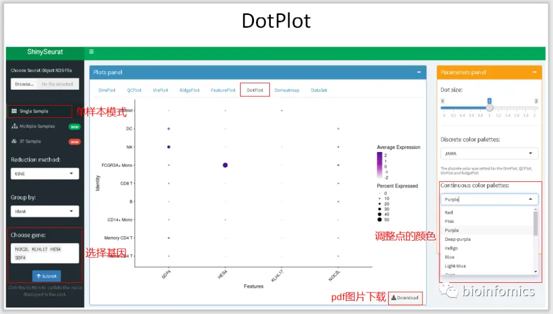 使用Shiny搭建基于Seurat包的单细胞数据可视化平台 - 图8