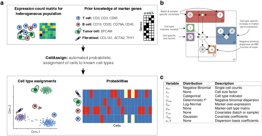 使用cellassign包进行单细胞类型注释分析（一）：Constructing marker genes from purified scRNA-seq data - 图2