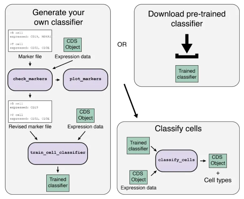 使用Garnett包进行单细胞类型分类注释分析（一）：Train cell type classifiers - 图3