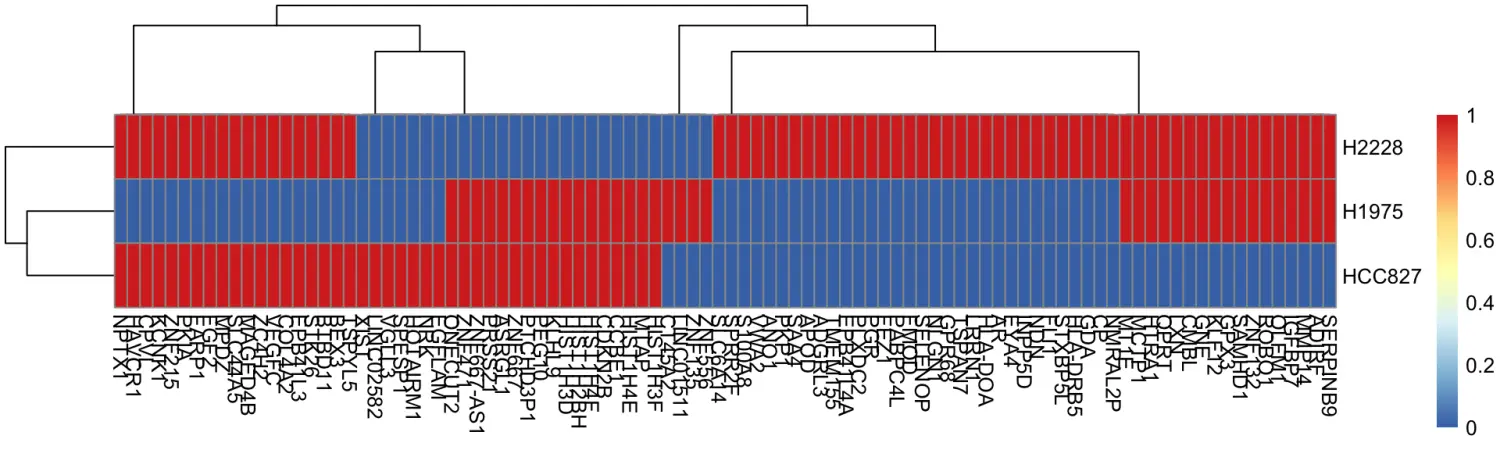 使用cellassign包进行单细胞类型注释分析（一）：Constructing marker genes from purified scRNA-seq data - 图4