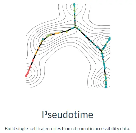 使用Cicero包进行单细胞ATAC-seq分析（三）：Single-cell accessibility trajectories - 图1