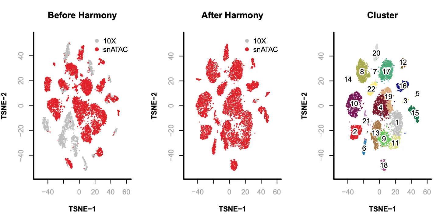 使用SnapATAC分析单细胞ATAC-seq数据（四）：Integrative Analysis of 10X and snATAC - 图3