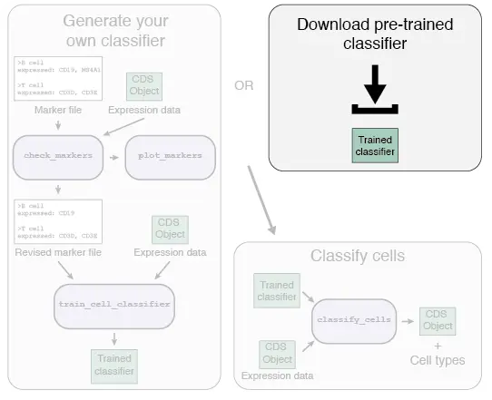 使用Garnett包进行单细胞类型分类注释分析（一）：Train cell type classifiers - 图4