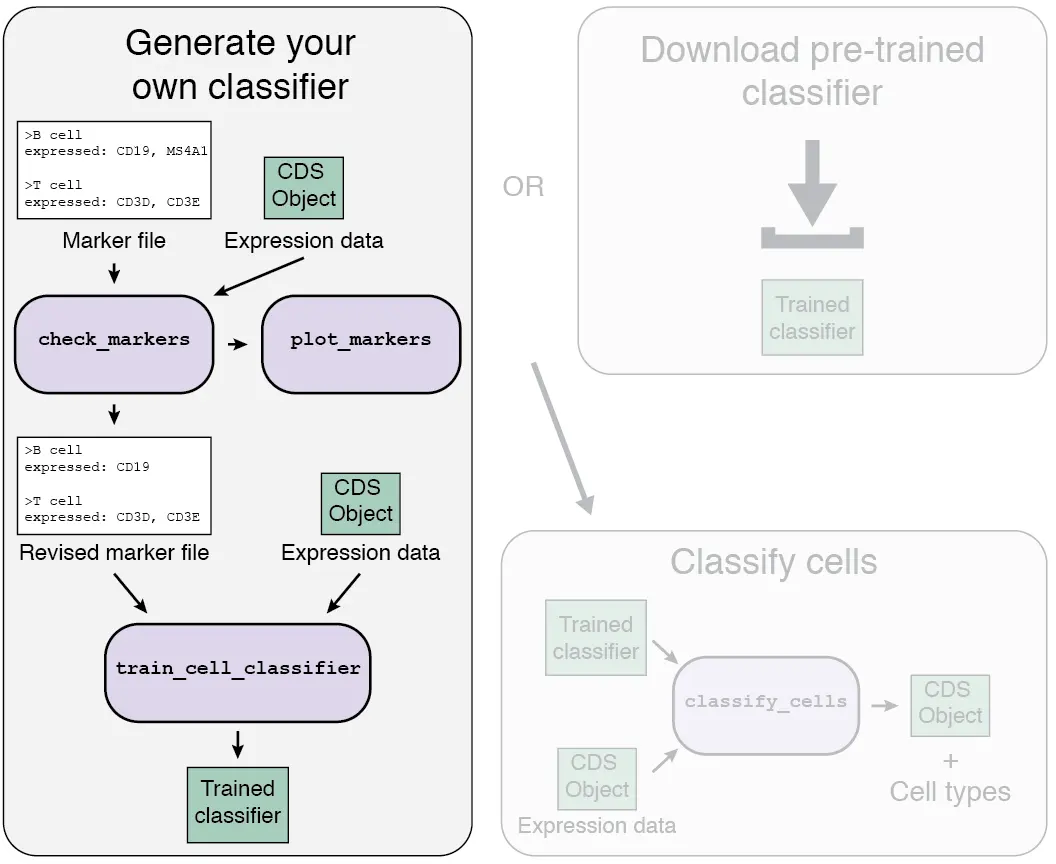 使用Garnett包进行单细胞类型分类注释分析（一）：Train cell type classifiers - 图6