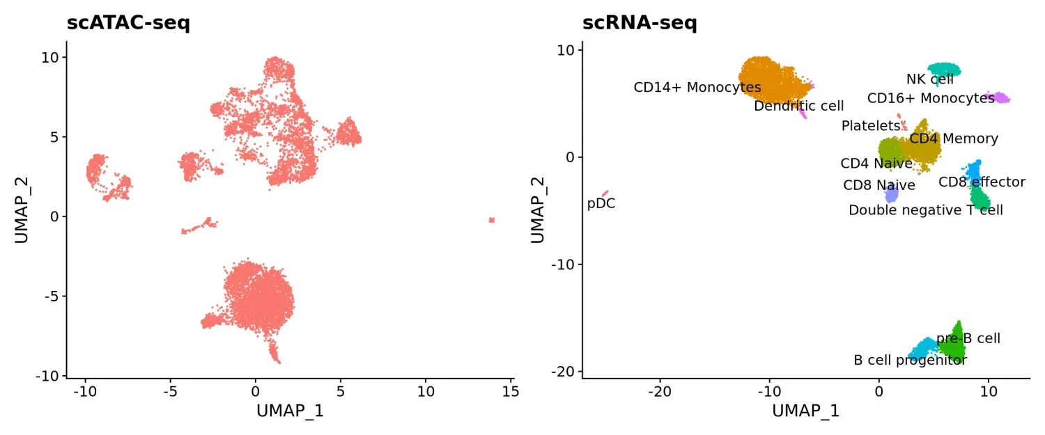 Seurat包学习笔记（六）：scATAC-seq   scRNA-seq integration - 图2