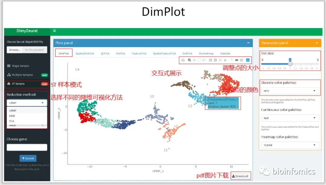 使用Shiny搭建基于Seurat包的单细胞数据可视化平台 - 图18