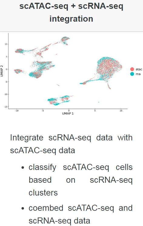 Seurat包学习笔记（六）：scATAC-seq   scRNA-seq integration - 图1