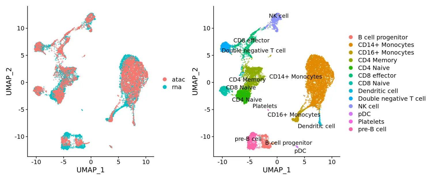 Seurat包学习笔记（六）：scATAC-seq   scRNA-seq integration - 图5