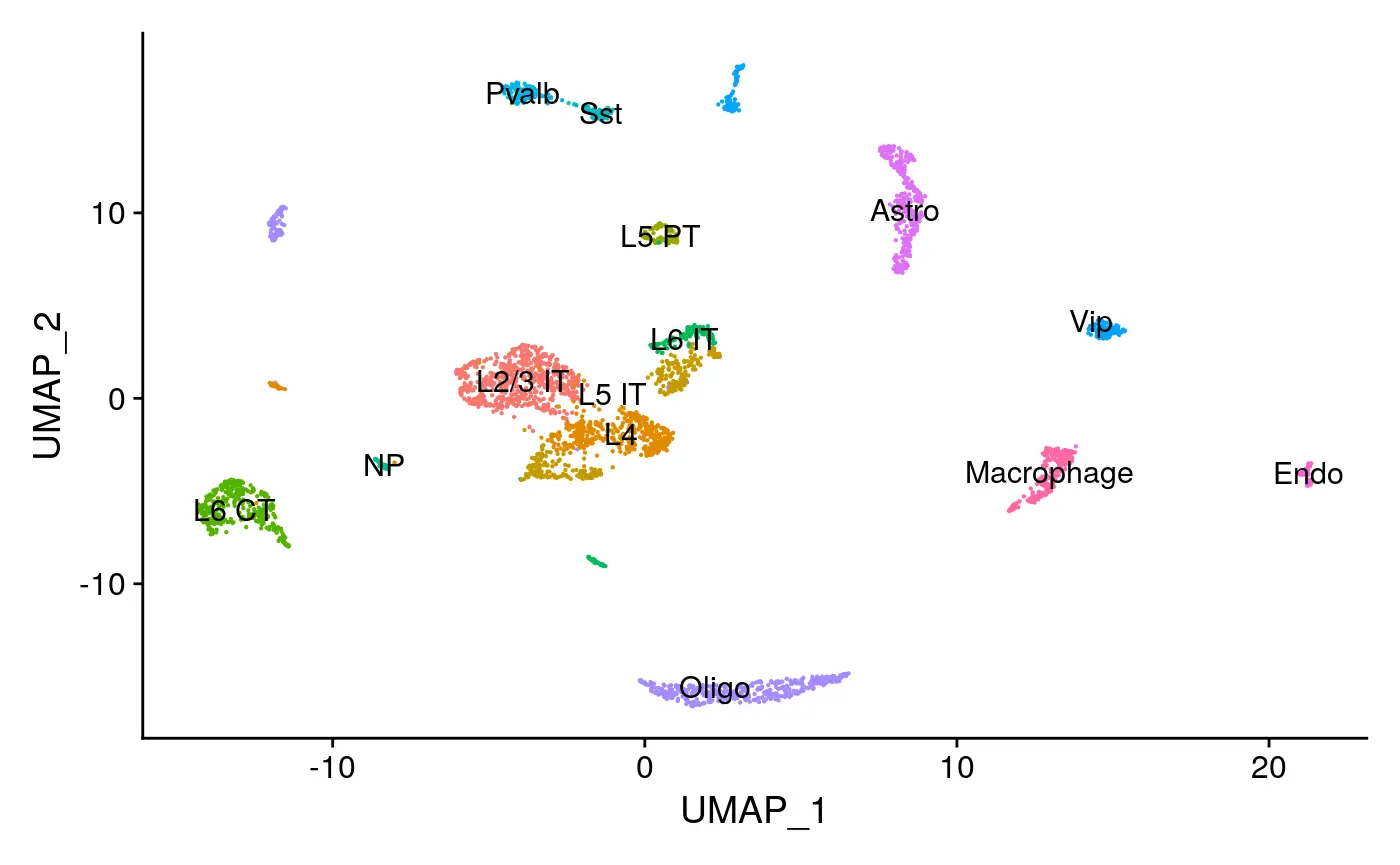 使用Signac包进行单细胞ATAC-seq数据分析（二）：Motif analysis with Signac - 图1